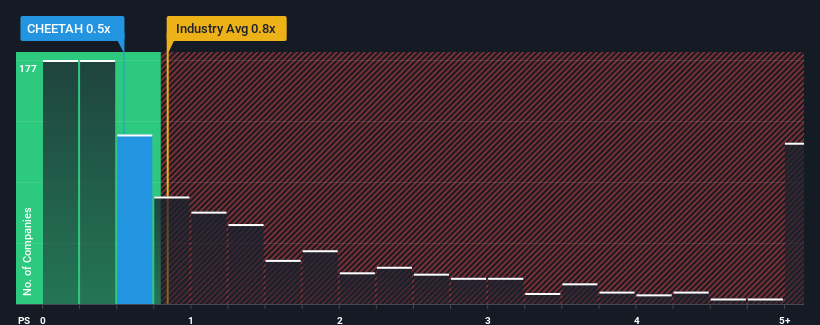 Cheetah Holdings to progressively increase prices to absorb higher