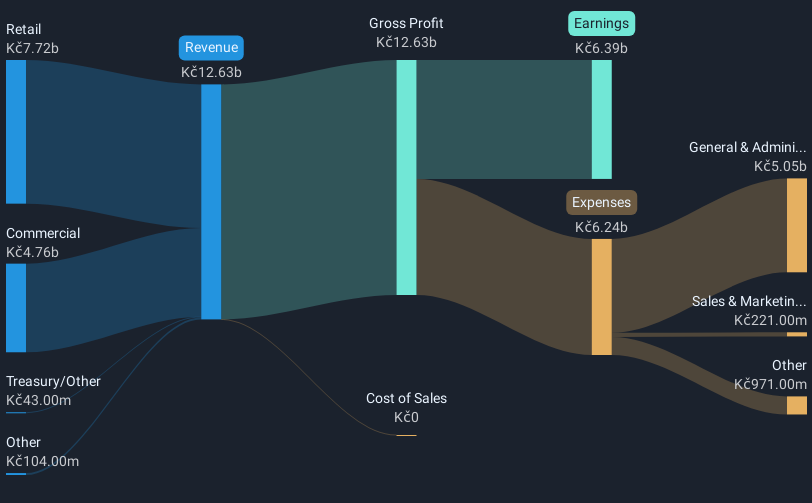 revenue-and-expenses-breakdown