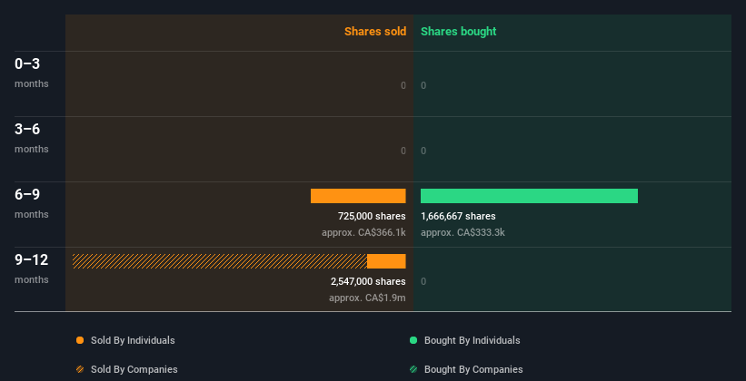 Have Insiders Been Selling Cabral Gold Inc Cve Cbr Shares Simply Wall St News