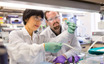 Eli Lilly and Company Just Missed EPS By 26%: Here's What Analysts Think Will Happen Next