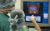 Medtronic (NYSE:MDT) Will Pay A Larger Dividend Than Last Year At $0.71