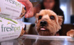 With Freshpet, Inc. (NASDAQ:FRPT) It Looks Like You'll Get What You Pay For