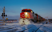 How Does Canadian National Railway Company (TSE:CNR) Fare As A Dividend Stock?