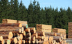 Calculating The Fair Value Of Acadian Timber Corp. (TSE:ADN)