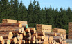 Slowing Rates Of Return At C.S. Lumber (TYO:7808) Leave Little Room For Excitement