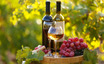 Are Investors Undervaluing Vintage Wine Estates, Inc. (NASDAQ:VWE) By 21%?