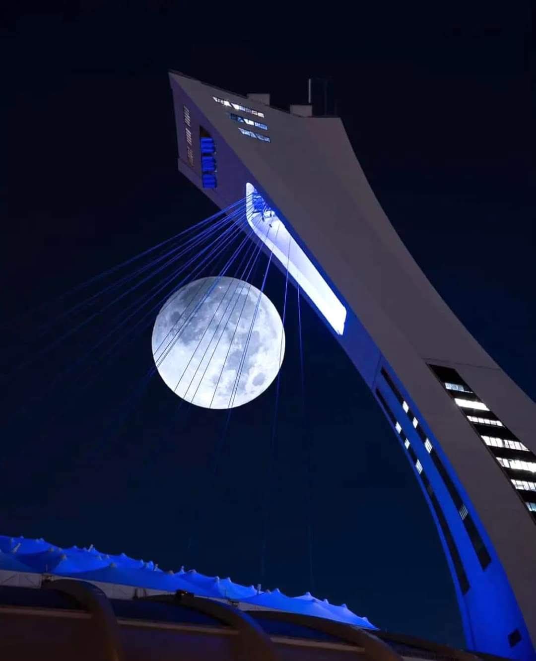 ₿ Bitcoin ETFs: Success Comes With Risks - Simply Wall St