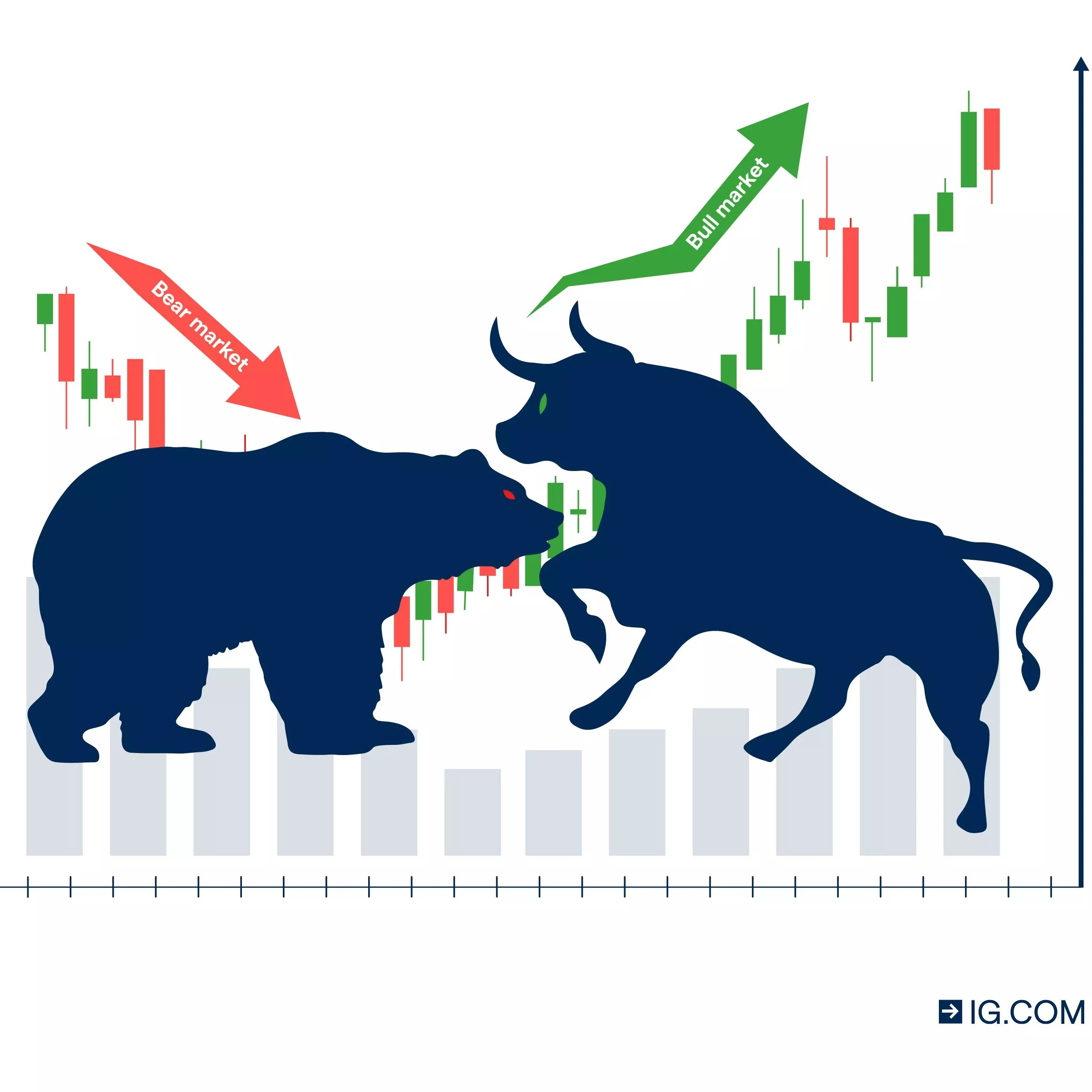 FundamentalContrarianInvestor