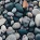Hidden_Rock_Capital