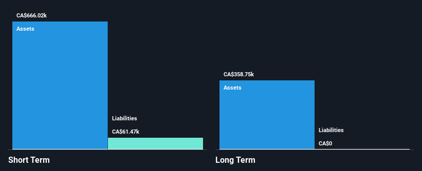 TSXV:KNG Financial Position Analysis as at Nov 2024