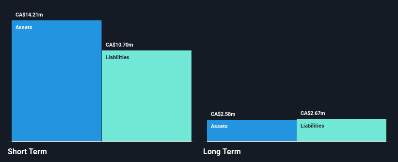 TSXV:TMG Financial Position Analysis as at Oct 2024