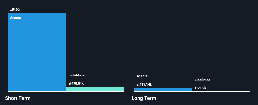 WSE:PMG Financial Position Analysis as at Mar 2025