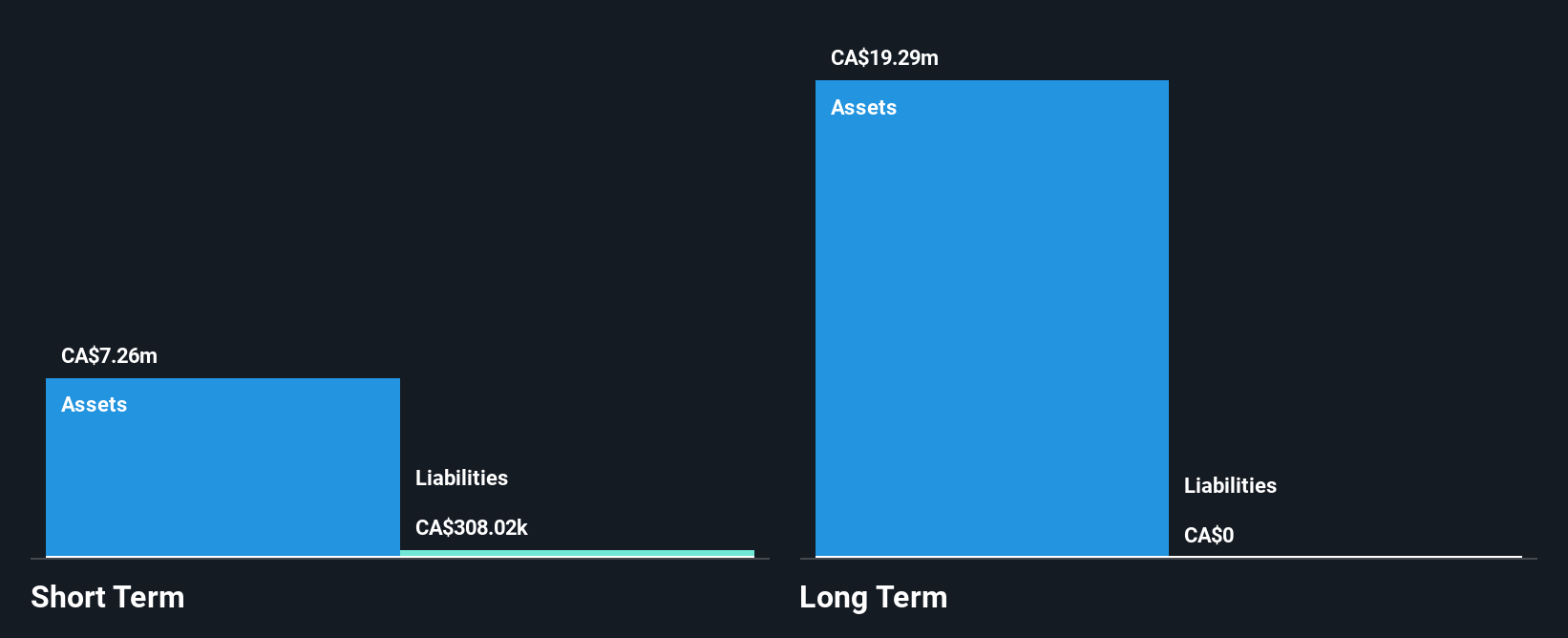 TSX:FSY Financial Position Analysis as at Oct 2024