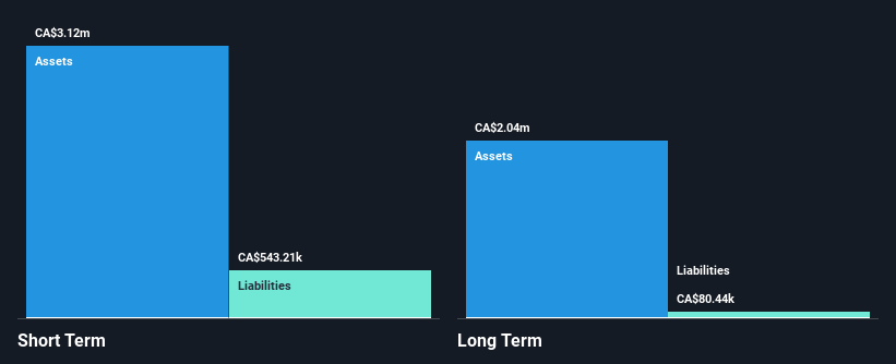 TSXV:ESK Financial Position Analysis as at Jun 2025