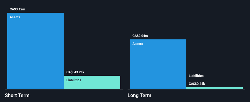 TSXV:ESK Financial Position Analysis as at Nov 2024