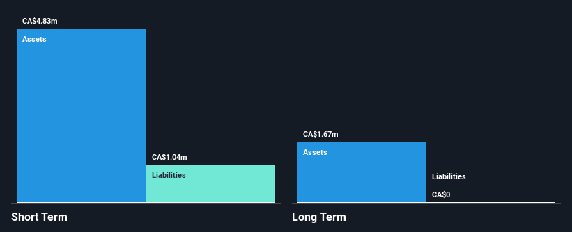 TSXV:YNV Financial Position Analysis as at Jan 2025