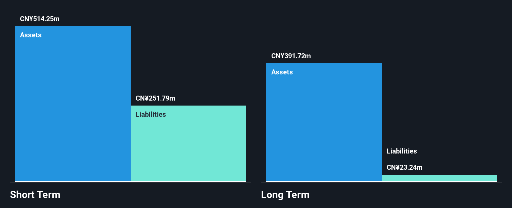 SZSE:002247 Financial Position Analysis as at Oct 2024