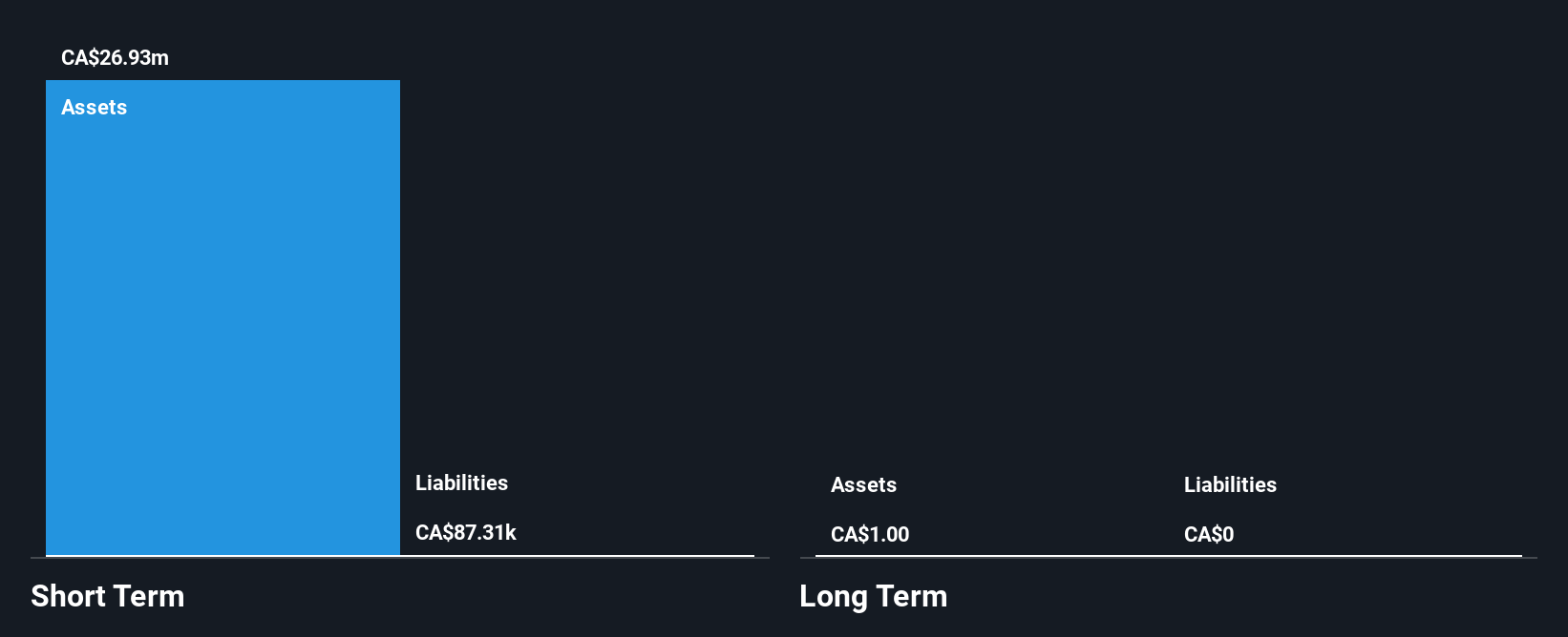 TSXV:AFCC.H Financial Position Analysis as at Jan 2025