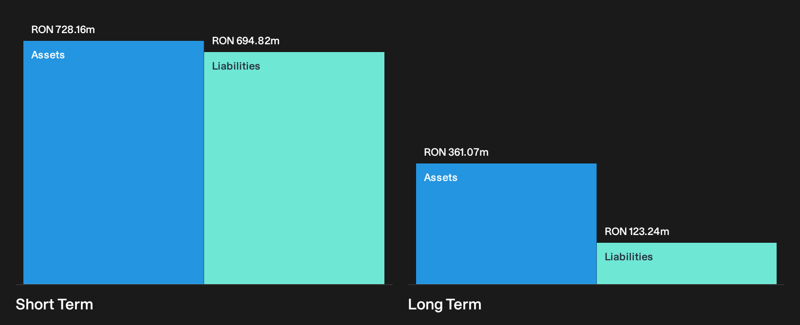 BVB:RPH Financial Position Analysis as at Oct 2026