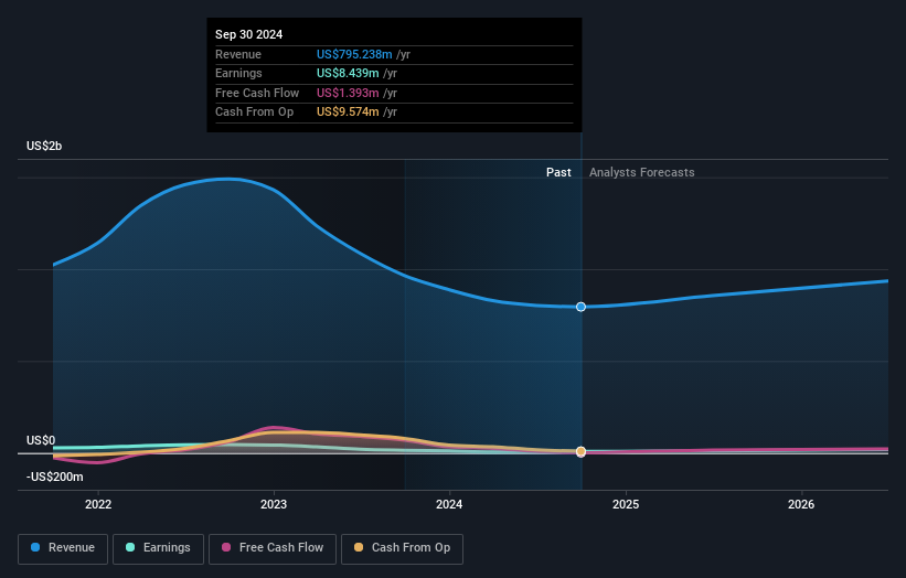 NYSEAM:RLGT Earnings and Revenue Growth as at Jan 2025