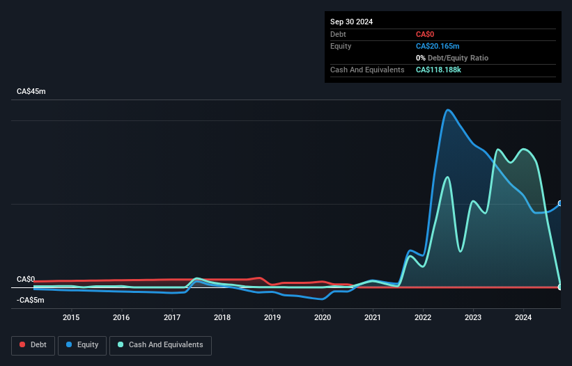 TSXV:NSE Debt to Equity History and Analysis as at Nov 2024