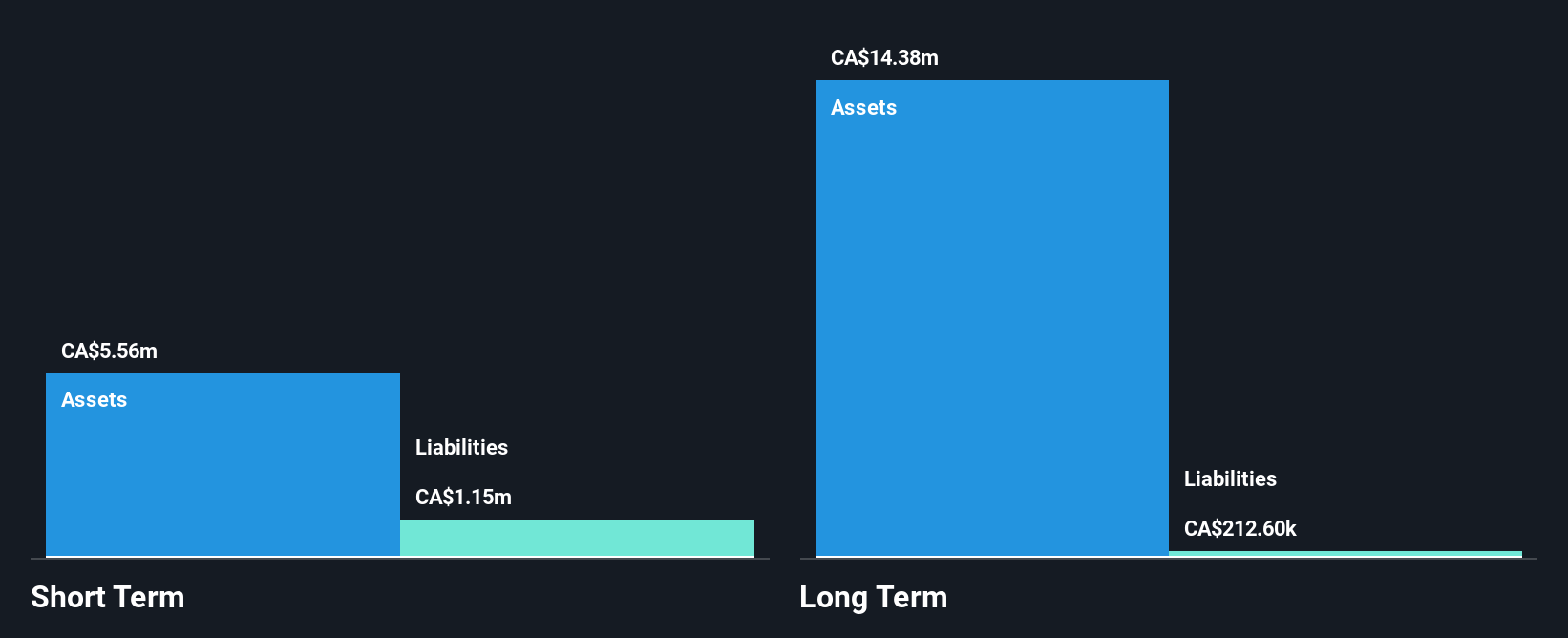 TSXV:SALT Financial Position Analysis as at Feb 2025