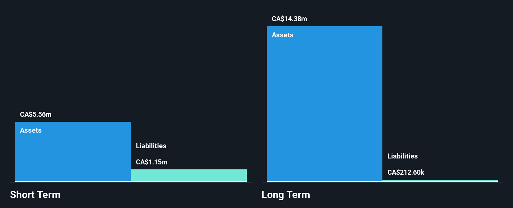 TSXV:SALT Financial Position Analysis as at Jan 2025