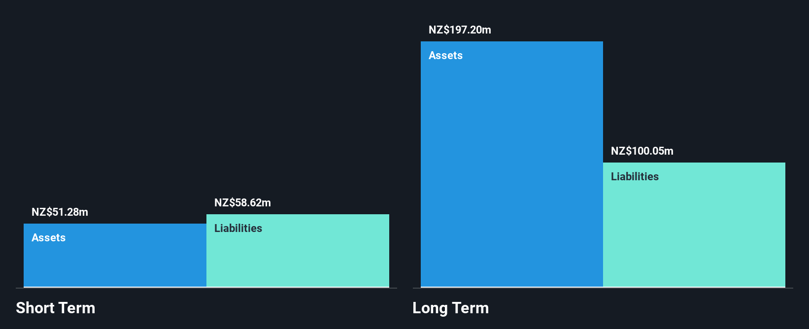 NZSE:NZM Financial Position Analysis as at Nov 2025