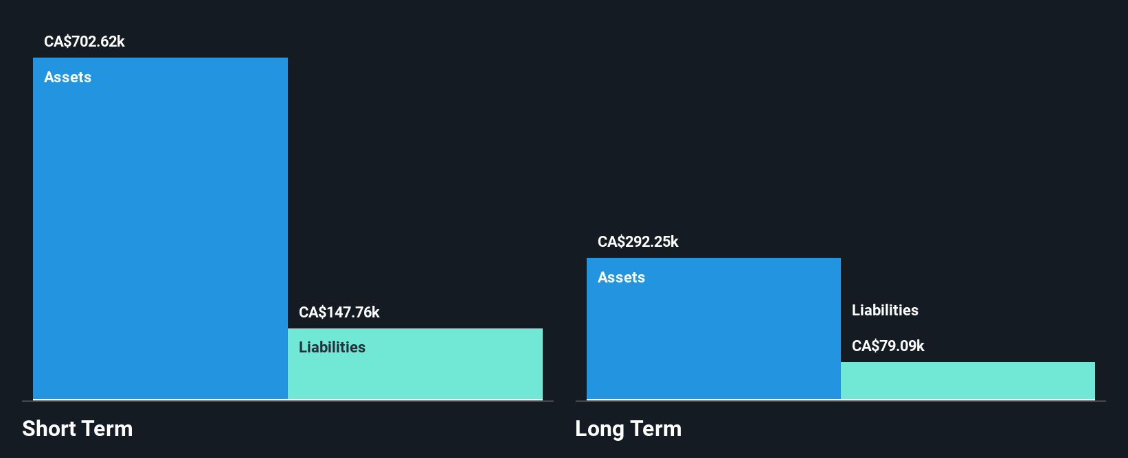 TSXV:VG Financial Position Analysis as at Dec 2024