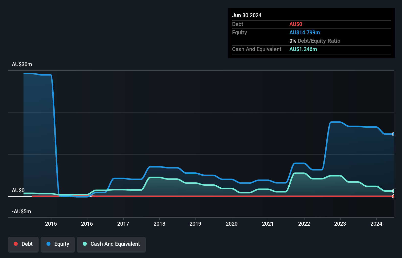 ASX:RIL Debt to Equity History and Analysis as at Oct 2024