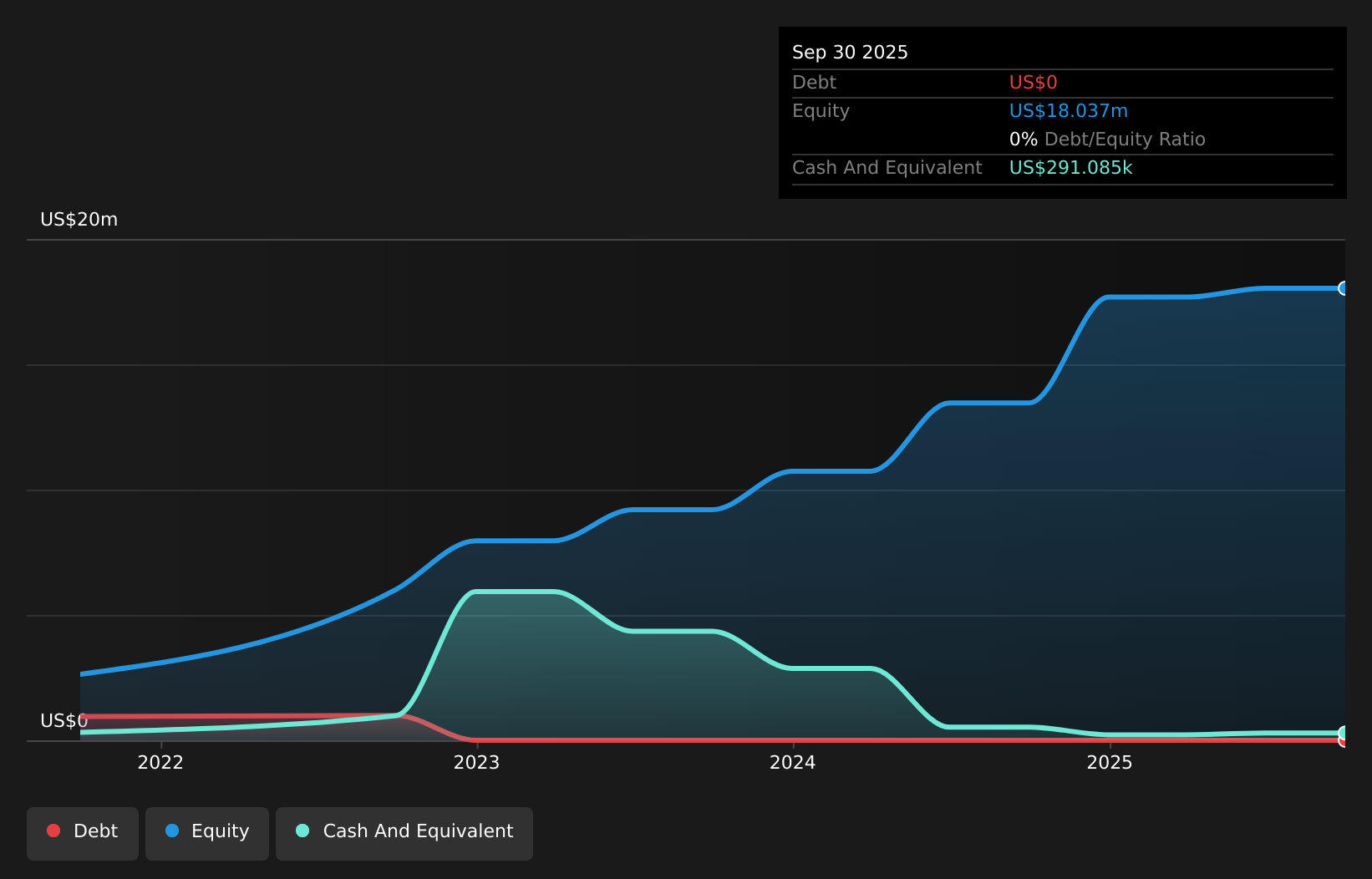 CGTL Debt to Equity History and Analysis as at May 2026