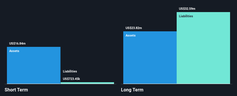 ASX:BEZ Financial Position Analysis as at Dec 2024