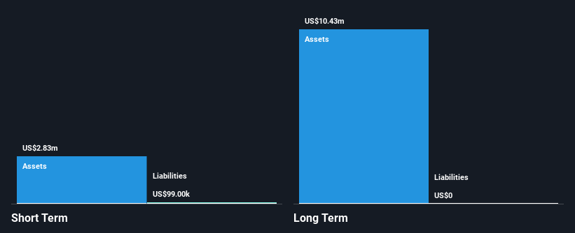 TASE:BIGT Financial Position Analysis as at May 2025