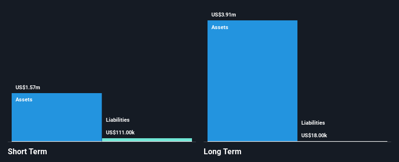 LSE:WSL Financial Position Analysis as at Dec 2024