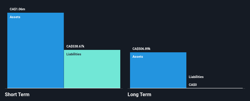 TSXV:NIO Financial Position Analysis as at Nov 2024