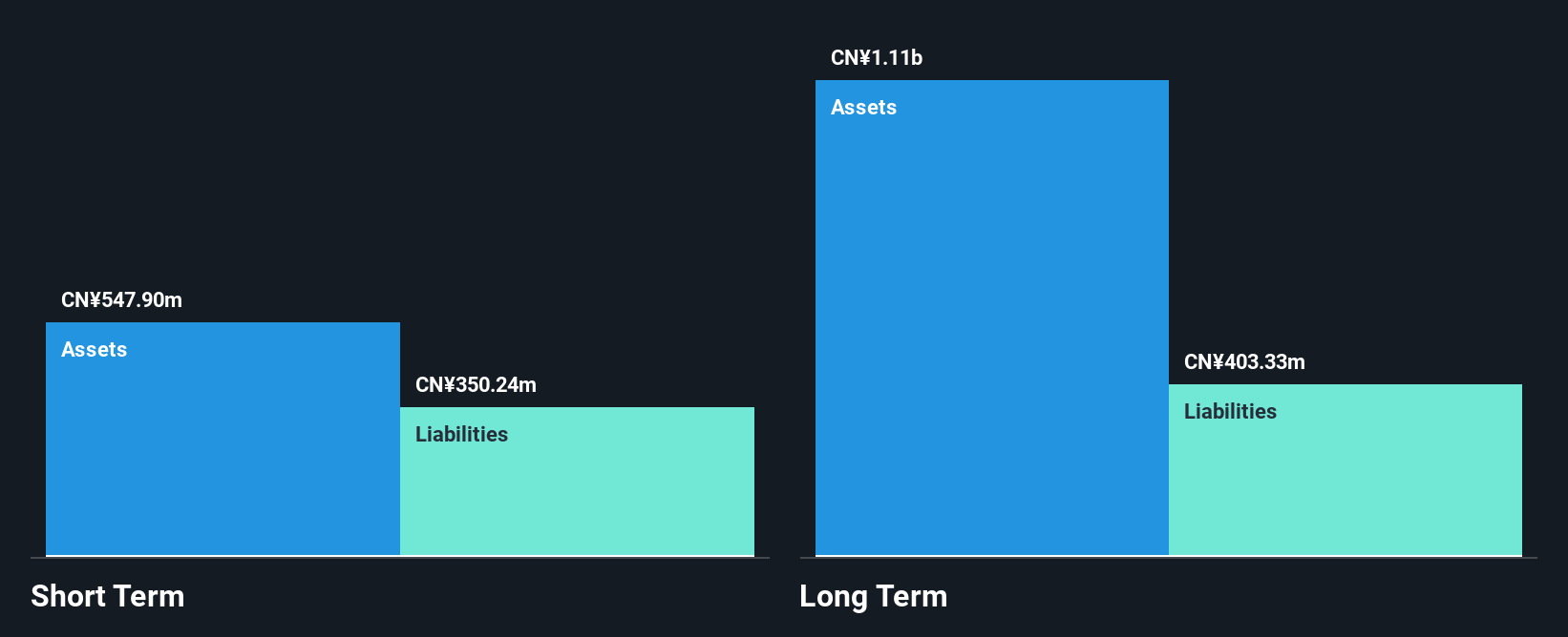 SHSE:600666 Financial Position Analysis as at Oct 2025