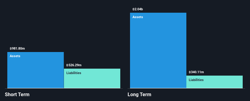 SET:IP Financial Position Analysis as at Mar 2025