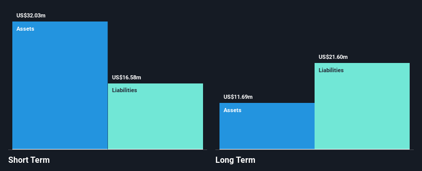 NasdaqGM:RANI Financial Position Analysis as at Oct 2024