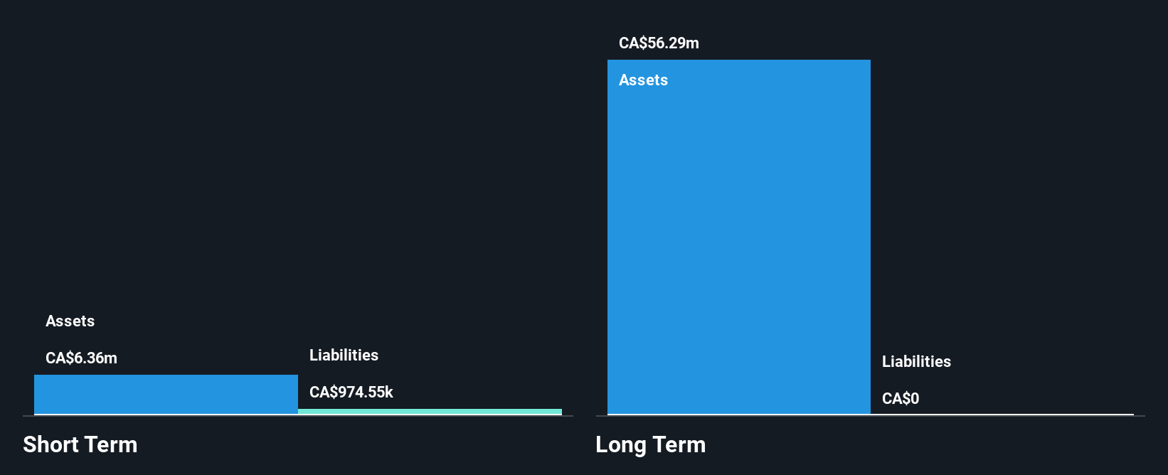 TSX:ERD Financial Position Analysis as at Dec 2024