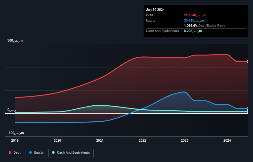 SASE:9568 Debt to Equity History and Analysis as at Dec 2024