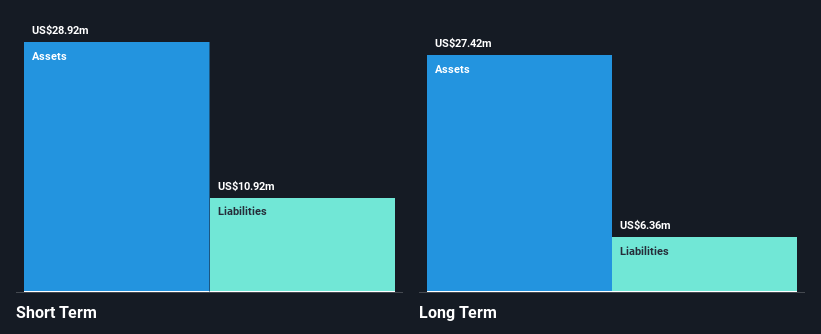 NYSEAM:FSI Financial Position Analysis as at Oct 2024