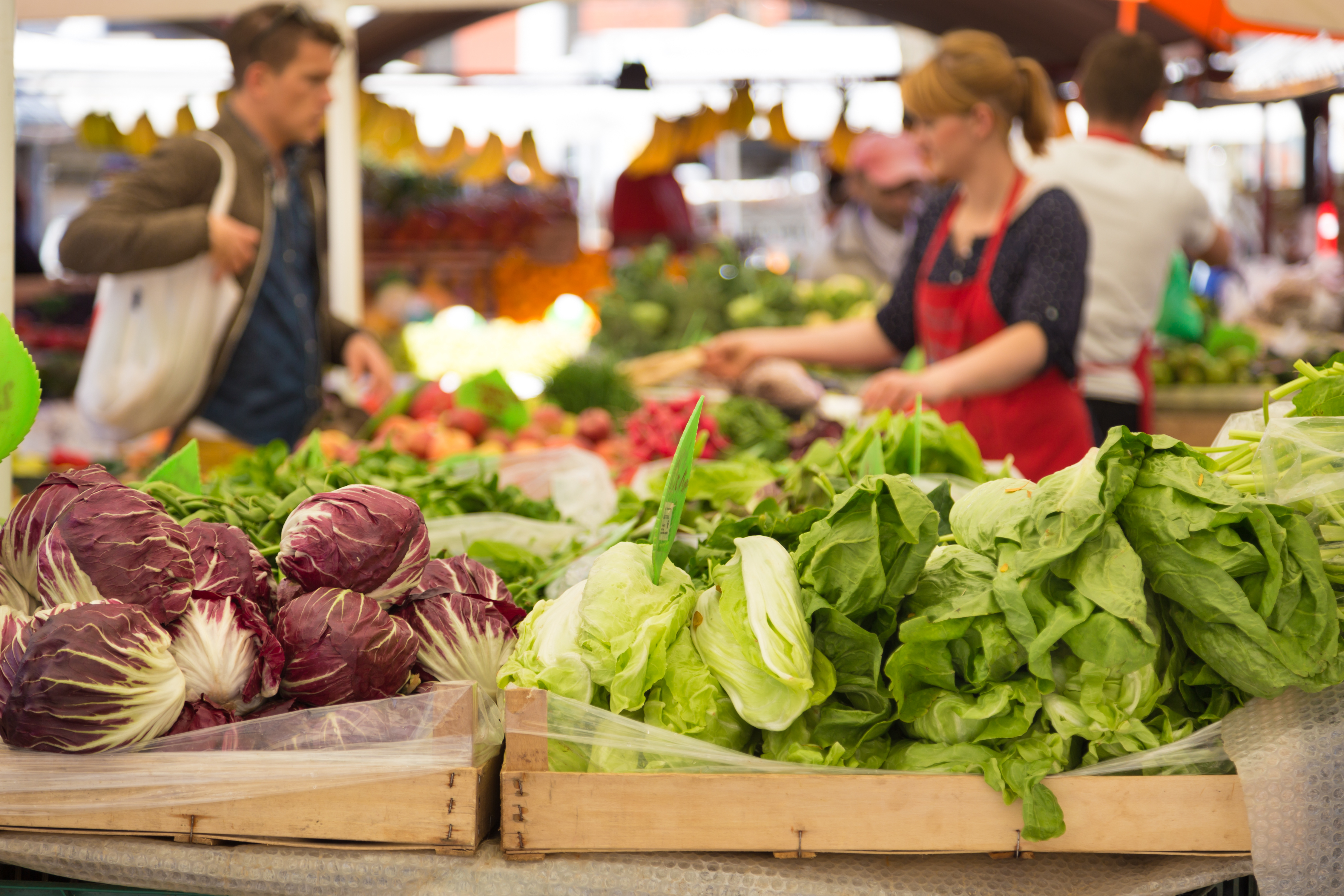 More Unpleasant Surprises Could Be In Store For Shanghai Menon Animal Nutrition Technology Co., Ltd.’s (SZSE:301156) Shares After Tumbling 37% – Simply Wall St