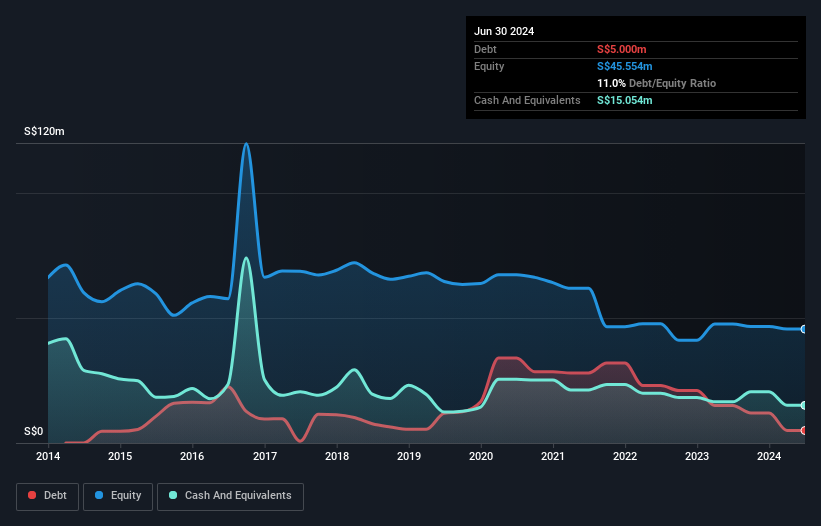 SGX:N01 Debt to Equity History and Analysis as at Nov 2024