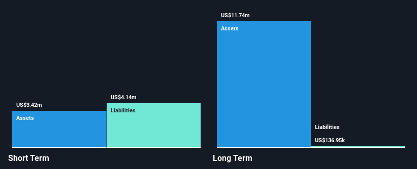 NasdaqCM:VRAR Financial Position Analysis as at Nov 2024