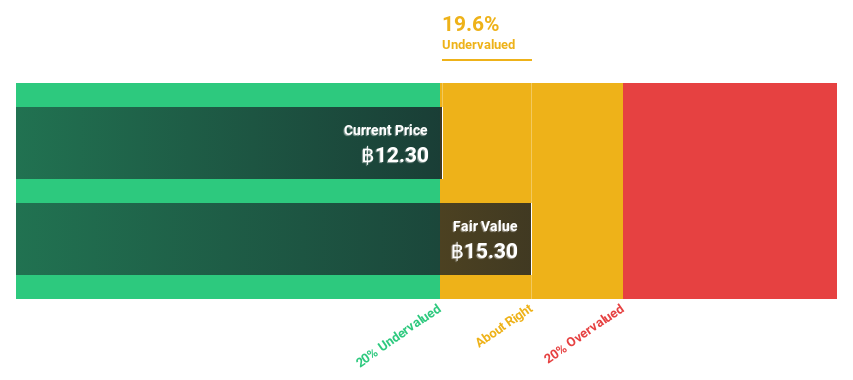 SET:TRUE Discounted Cash Flow as at May 2025