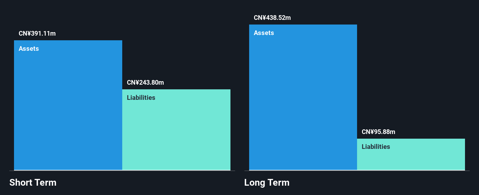 SHSE:600234 Financial Position Analysis as at Oct 2024