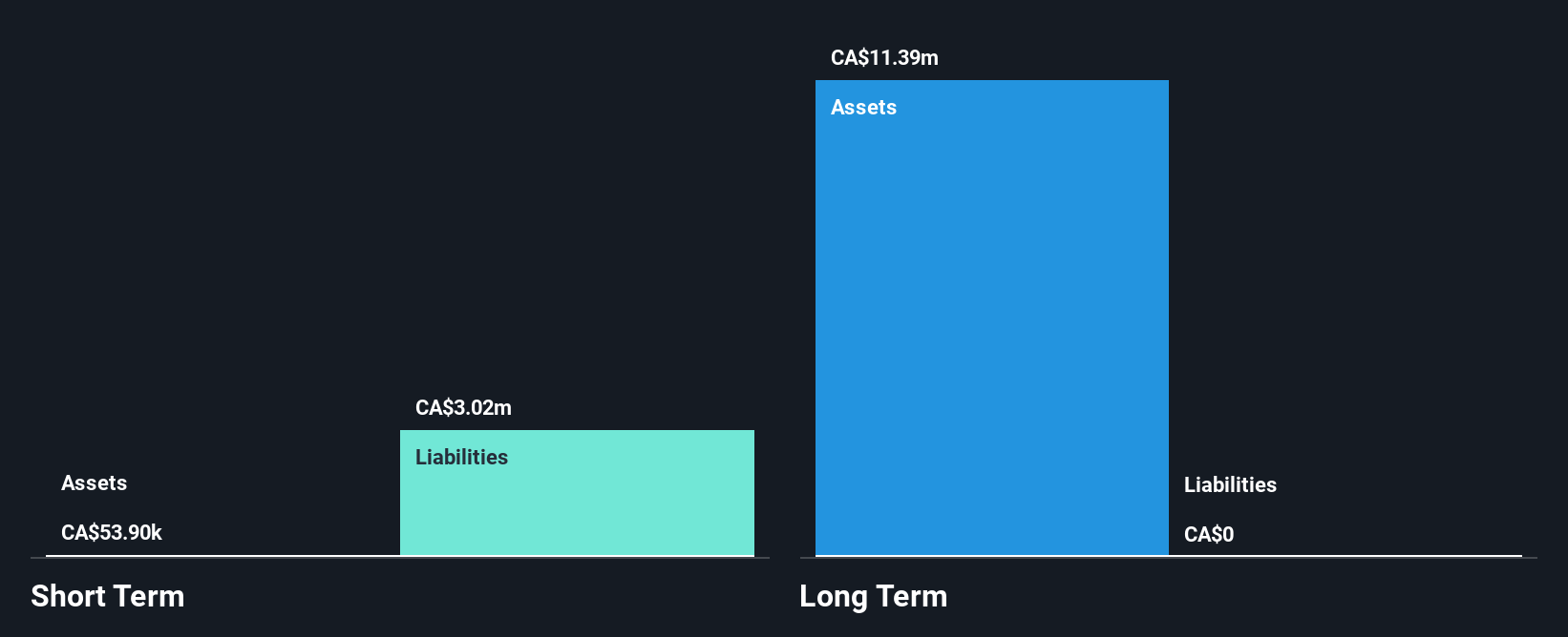 TSXV:BLDS Financial Position Analysis as at Nov 2024