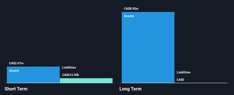 TSXV:ZNG Financial Position Analysis as at Jan 2025