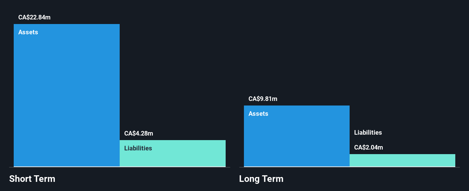 TSXV:FL Financial Position Analysis as at Nov 2024