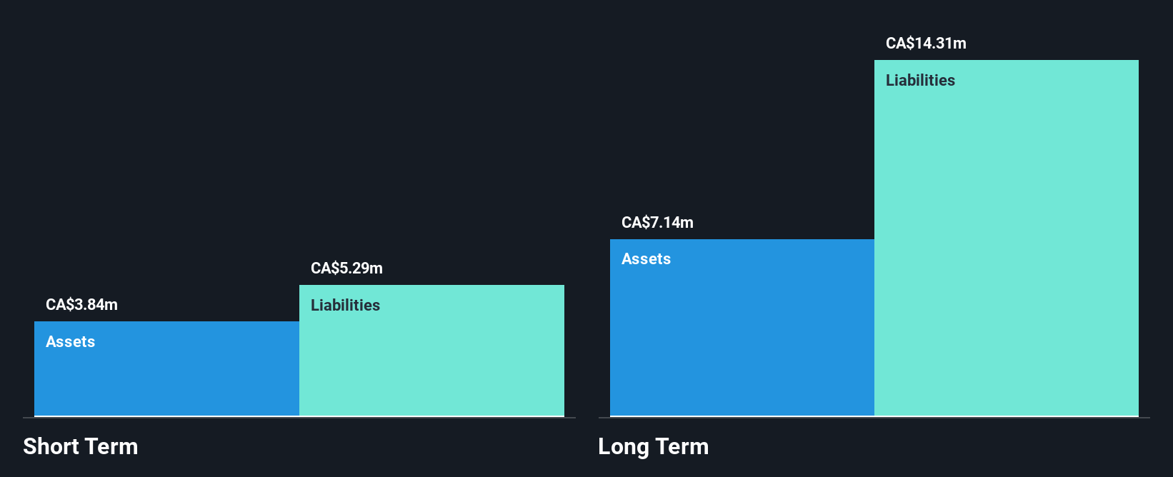 TSXV:NIM Financial Position Analysis as at Jan 2025